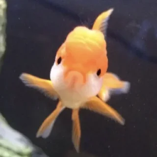 Sticker Создать стикеры @StickerEdit_bot - 7