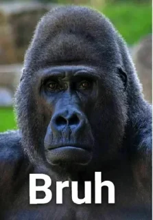 Sticker @StickerEdit_bot :: @StickerEdit - 0