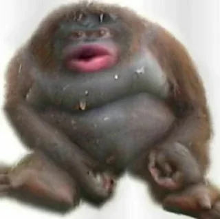 Sticker @StickerEdit_bot :: @StickerEdit - 3