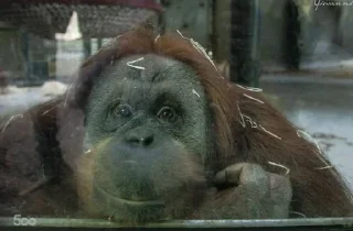 Sticker @StickerEdit_bot :: @StickerEdit - 10