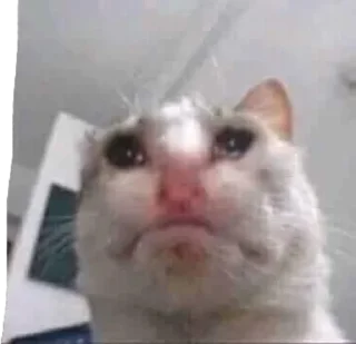 Sticker Стикеры ► @StickerEdit_bot - 7