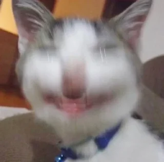 Sticker Стикеры ► @StickerEdit_bot - 10