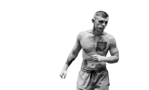 Sticker Влад "Тигр" Чернышов - 0