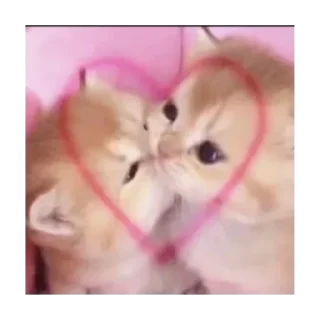 Стикер Создать стикеры @StickerEdit_bot - 4