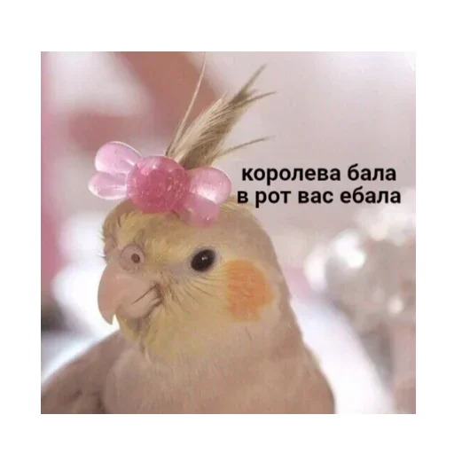 Sticker v546332955816529_by_StickerEdit_bot - 1