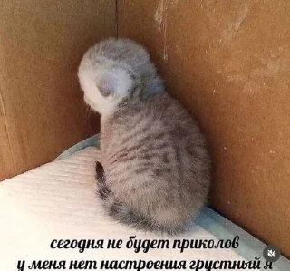 Sticker Создать стикеры|@EmojiRuBot - 3