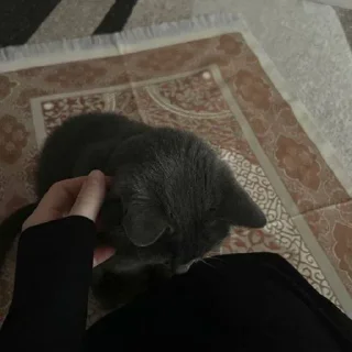 Sticker Создать стикеры|@EmojiRuBot - 5