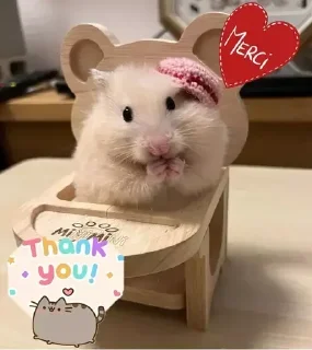 Стикер Создать стикеры @StickerEdit_bot - 3