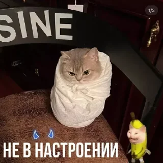 Стикер Создать стикеры @StickerEdit_bot - 6