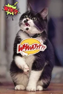 Стикер Создать стикеры @StickerEdit_bot - 0