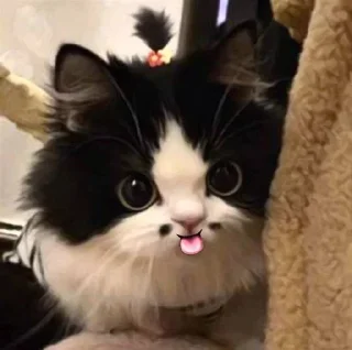 Стикер Создать стикеры @StickerEdit_bot - 10