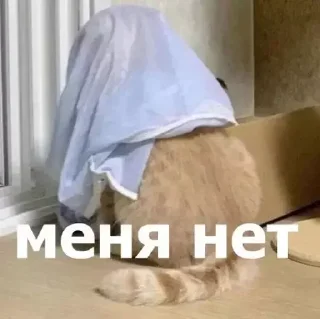 Стикер Создать стикеры @StickerEdit_bot - 4