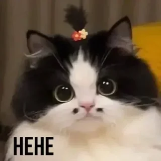 Стикер Создать стикеры @StickerEdit_bot - 8