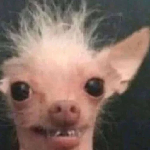 @StickerEdit_bot :: @StickerEdit - 