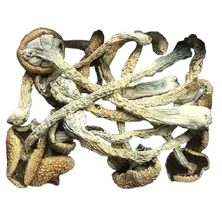 Sticker Создать стикеры @StickerEdit_bot - 3