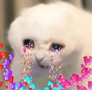 Sticker Создать стикеры @StickerEdit_bot - 7