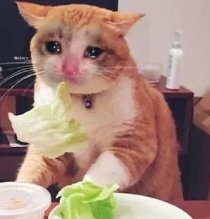 Sticker Создать стикеры @StickerEdit_bot - 6