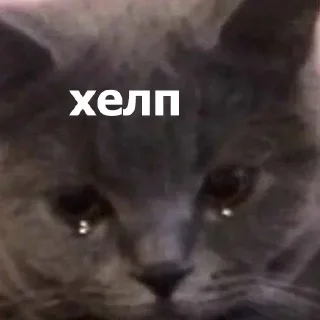 Sticker Создать стикеры @StickerEdit_bot - 10