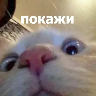 Sticker Создать стикеры @StickerEdit_bot - 5