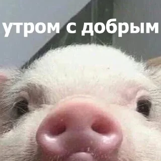 Sticker Создать стикеры @StickerEdit_bot - 3