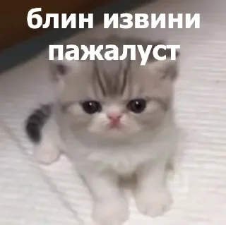 Sticker Создать стикеры @StickerEdit_bot - 4
