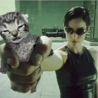 Стикер Больше стиков тут: @stikery4 - 0