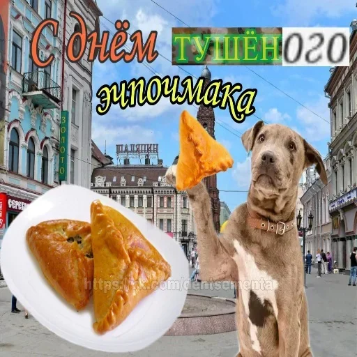 Стикер vDvXVn_by_stickers_stealer_bot - 1