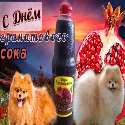 Стикер vDvXVn_by_stickers_stealer_bot - 1