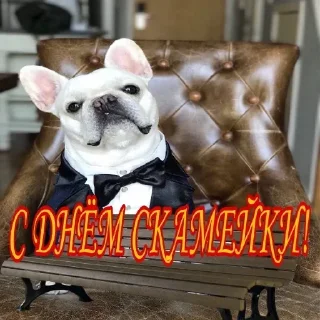 Стикер @stiki_tg_nah_canal - 0