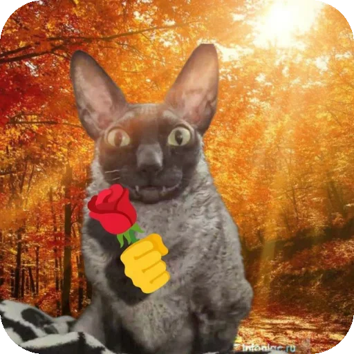 Больше стиков тут: @stikery4 - 