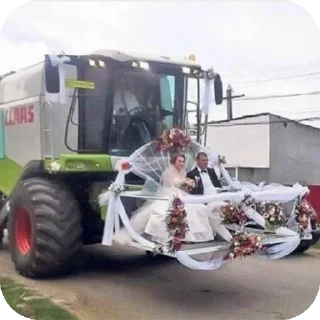 Стикер Больше стиков тут: @stikery4 - 3