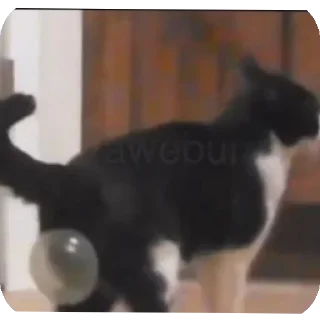 Стикер Больше стиков тут: @stikery4 - 11