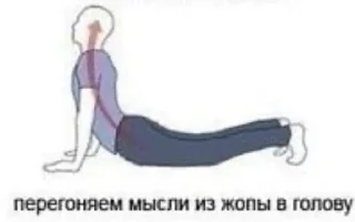 Sticker Больше стикеров: @sticerru - 5