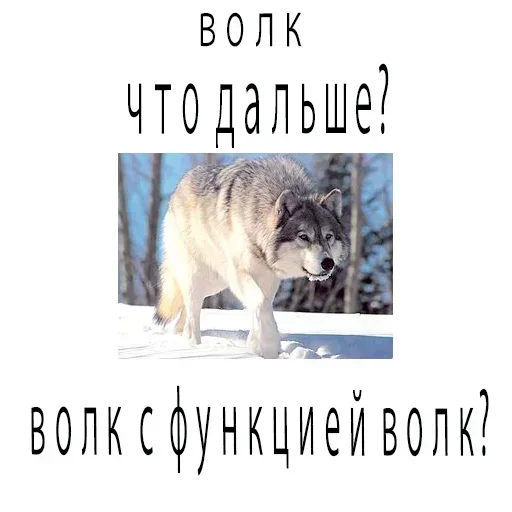 Sticker vJrZGor_by_stickers_stealer_bot - 1