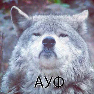 Sticker Больше стикеров 👉🏻 @stickertg4 - 2