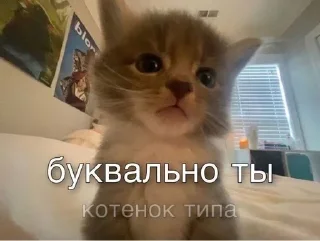 Sticker Больше стикеров: @sticerru - 7