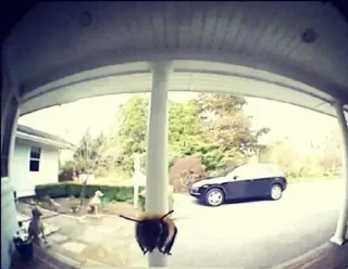 Sticker Больше стикеров: @sticerru - 8