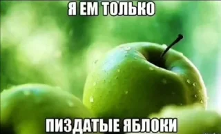 Sticker Больше стикеров: @sticerru - 11