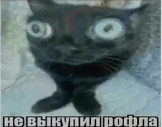 Sticker Больше стикеров: @sticerru - 6