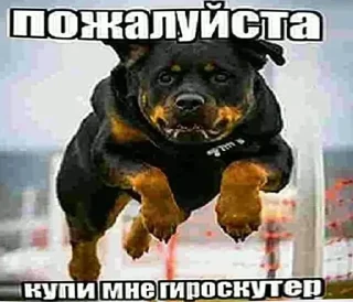 Sticker Больше стикеров 👉🏻 @stickertg4 - 6