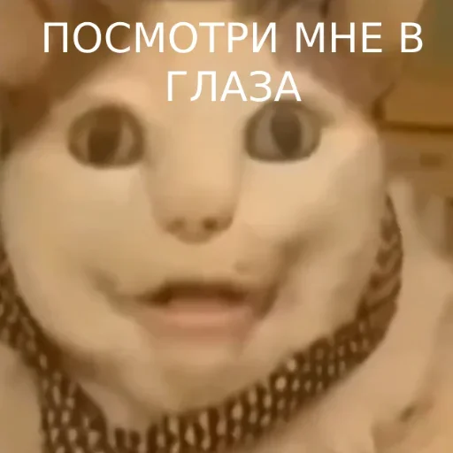 Стикер vWIffQS_by_achestickbot - 1