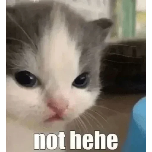 Стикер vWTBANteMrFWJG_by_stickers_stealer_bot - 1