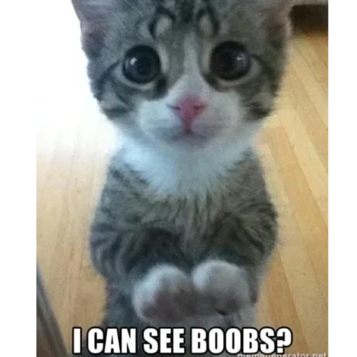 Стикер vWTBANteMrFWJG_by_stickers_stealer_bot - 1