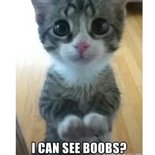 Стикер @stikerk877 - 6