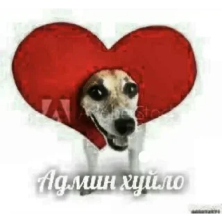 Стикер @stikerk877 - 5