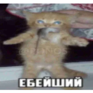 Стикер @stikerk877 - 4