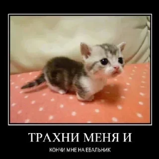 Стикер @stikerk877 - 2