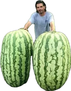 Стикер Больше стиков тут: @stikery4 - 5