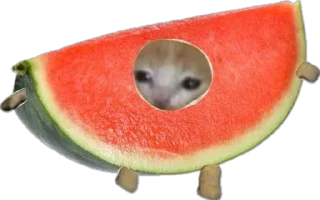 Стикер Больше стиков тут: @stikery4 - 4