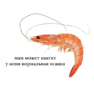 Стикер Больше стиков тут: @stikery4 - 5